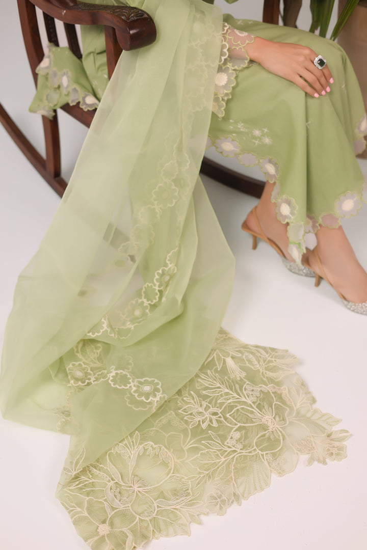 Mint Senenity - ShopShas